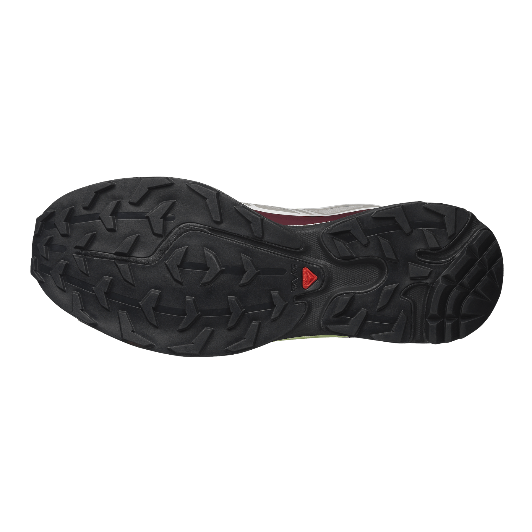 #COLOR_Paloma / Maroon Banner