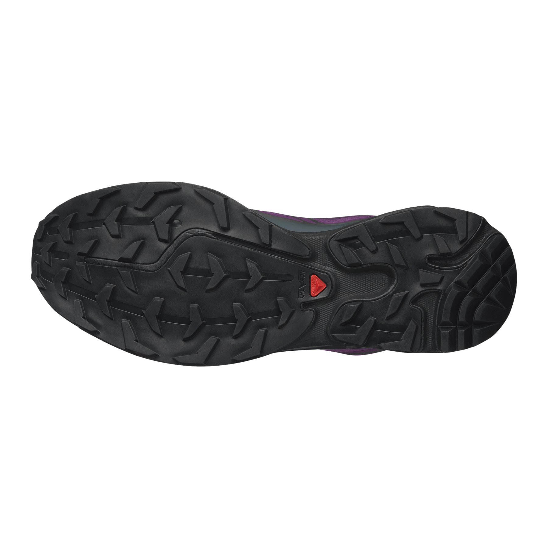 #color_CONCORD GRAPE / STORMY WEATHER / FTW SILVER