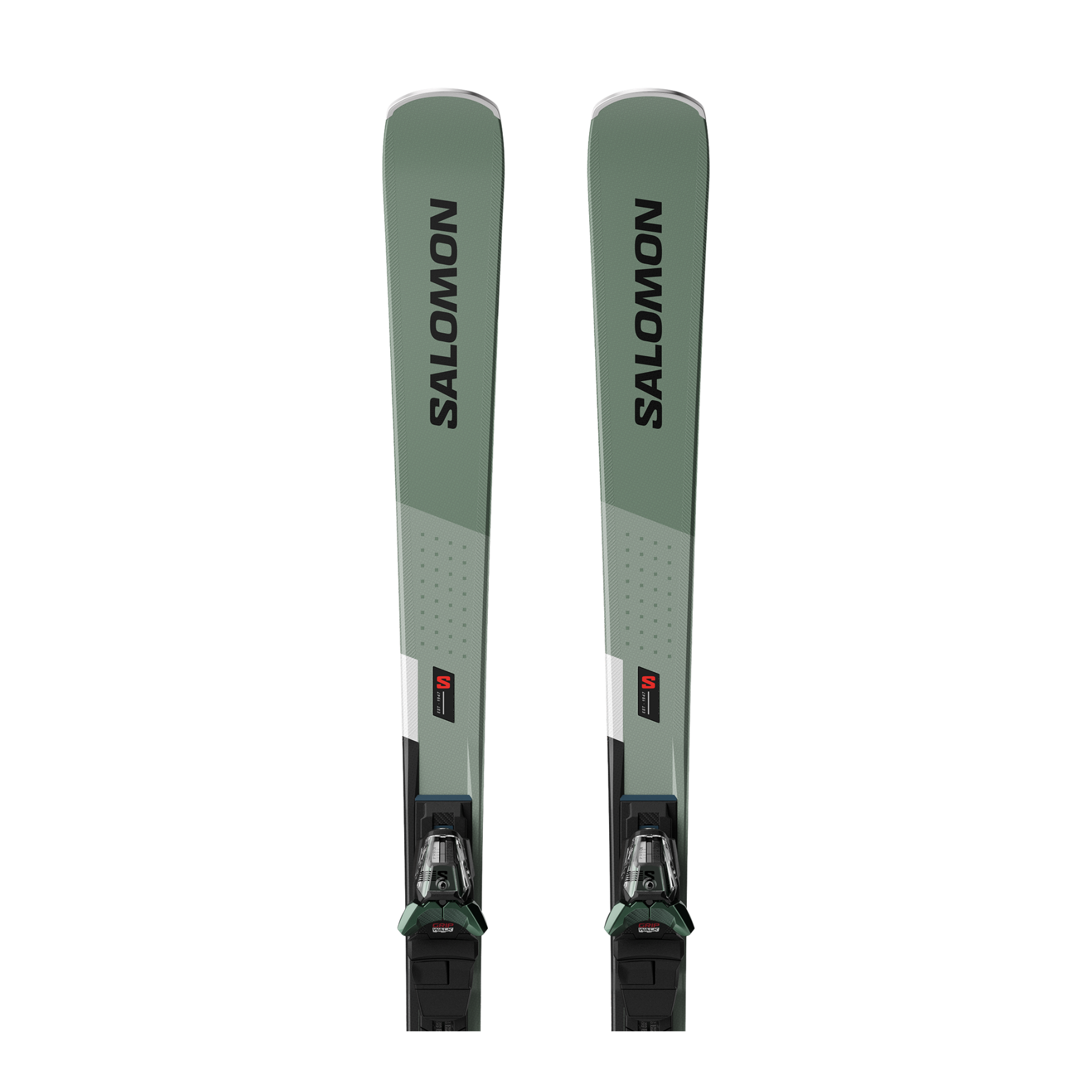 #color_Oil Green / Black