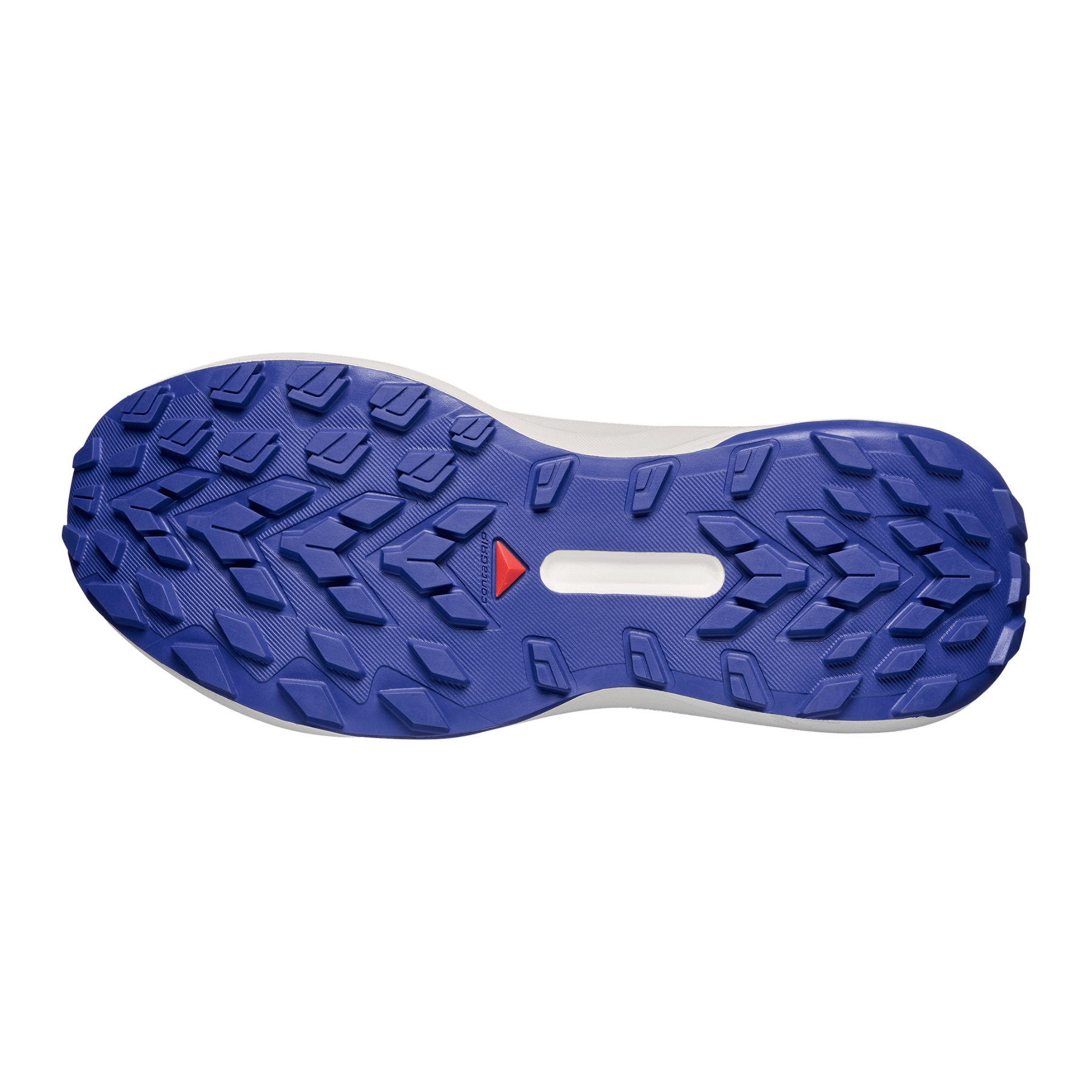 #color_Brunnera Blue / Persian Jewel