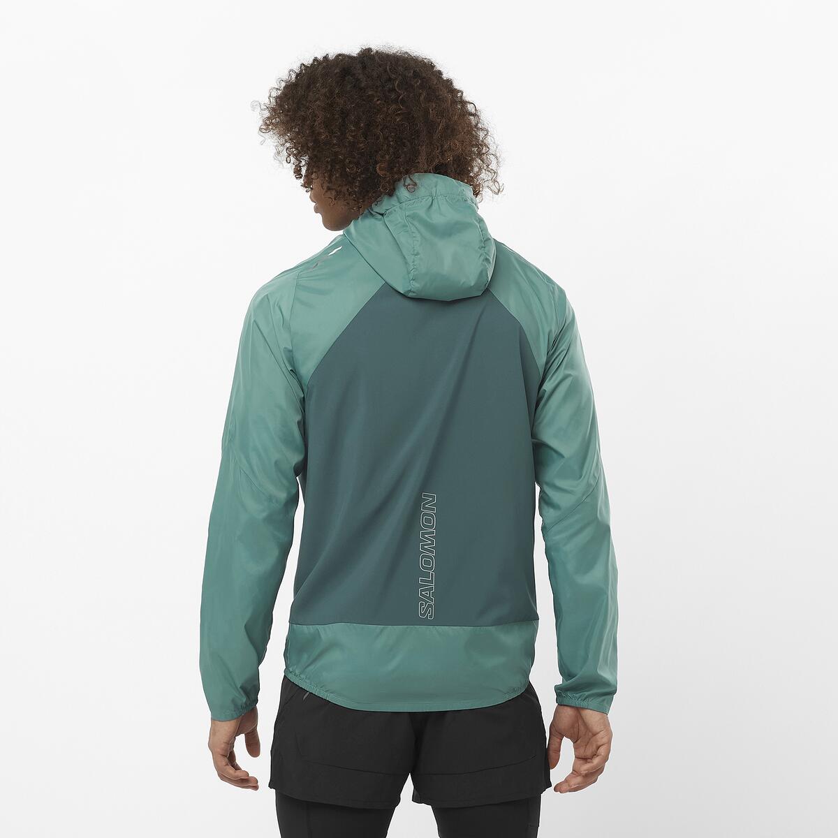 #COLOR_VERDE