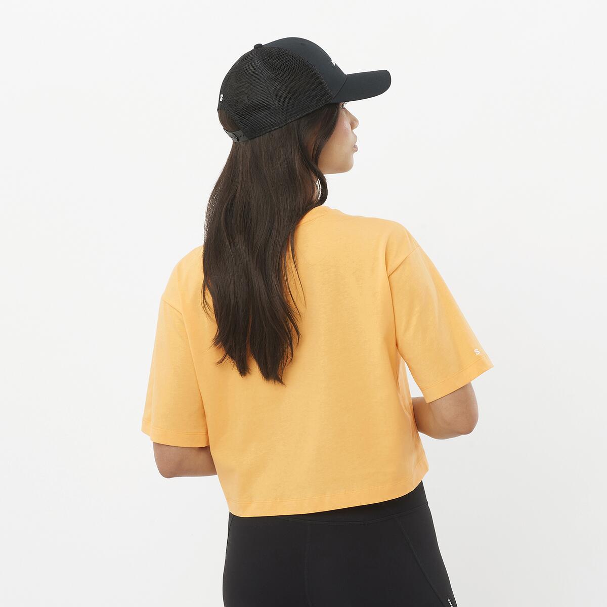 #COLOR_NARANJA