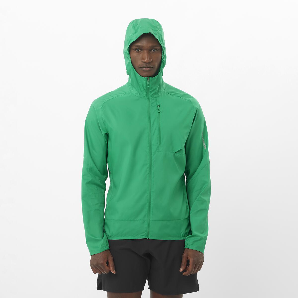 #COLOR_VERDE