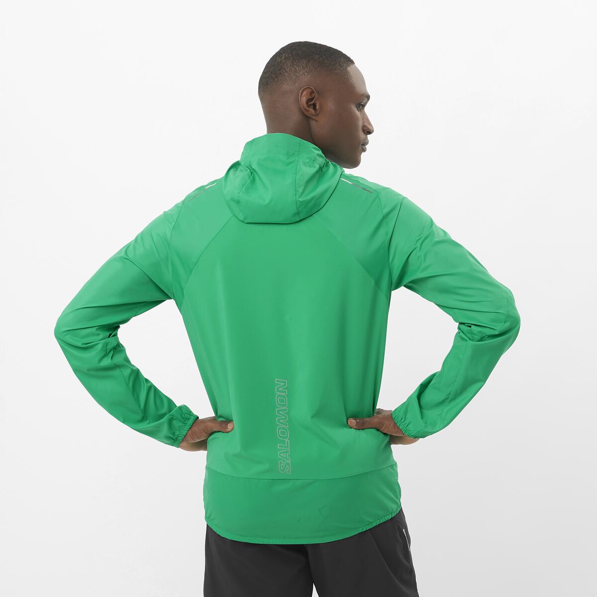 #COLOR_VERDE