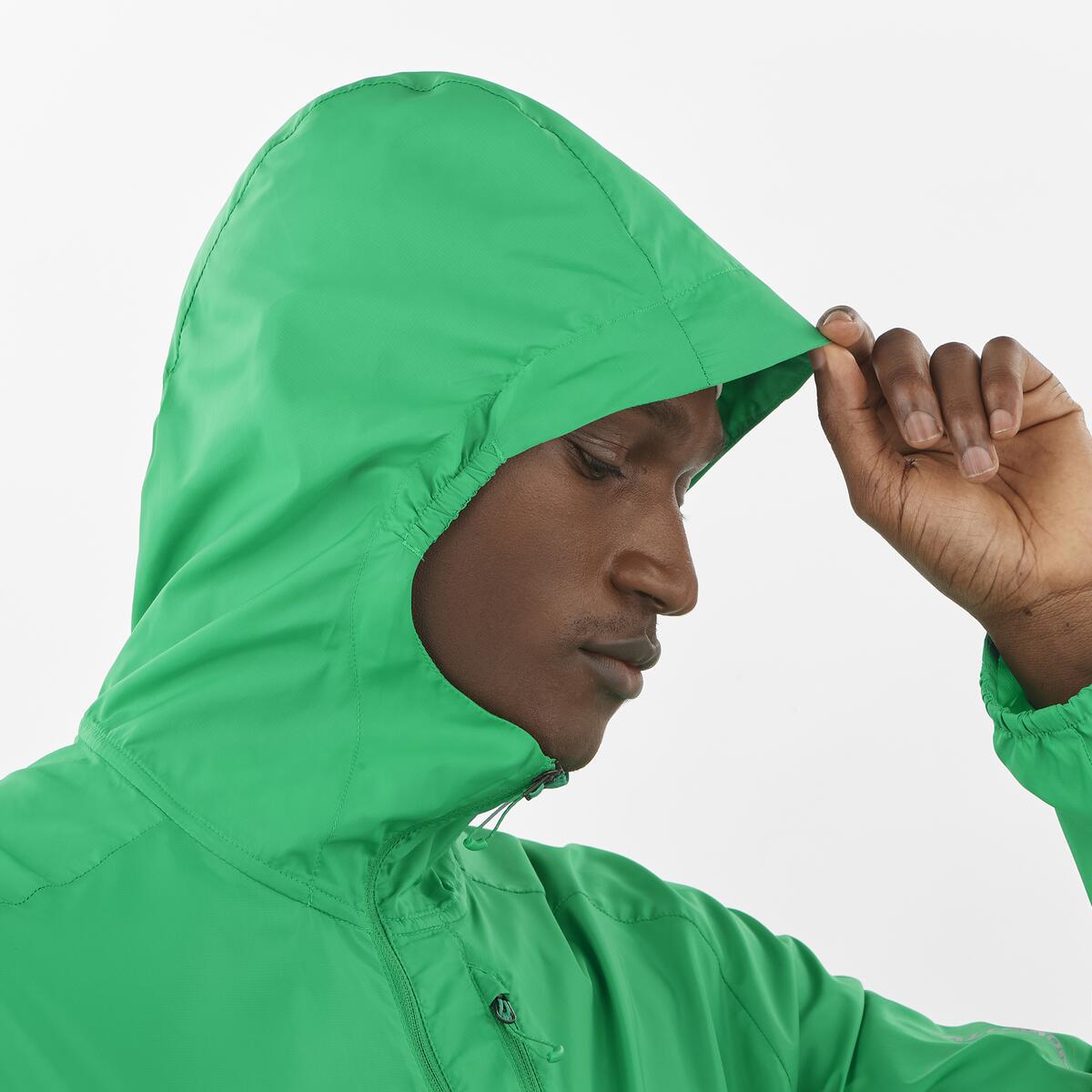#COLOR_VERDE