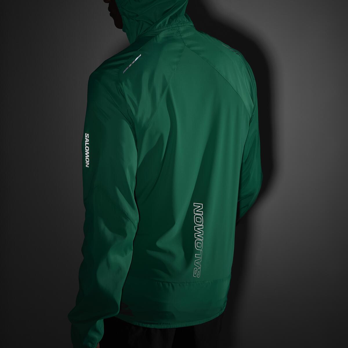 #COLOR_VERDE