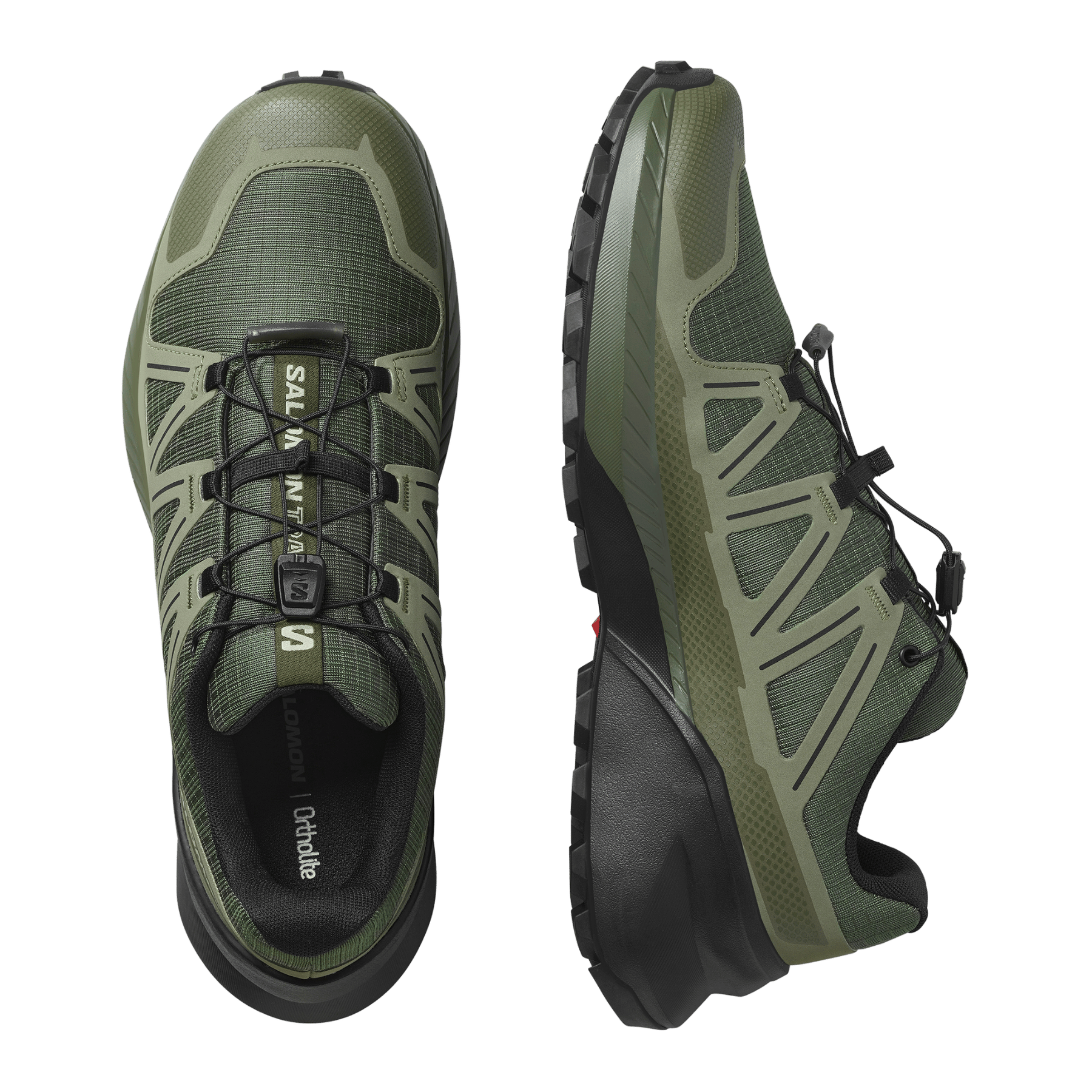 #color_OLIVE NIGHT / DEEP LICHEN GREEN / BLACK