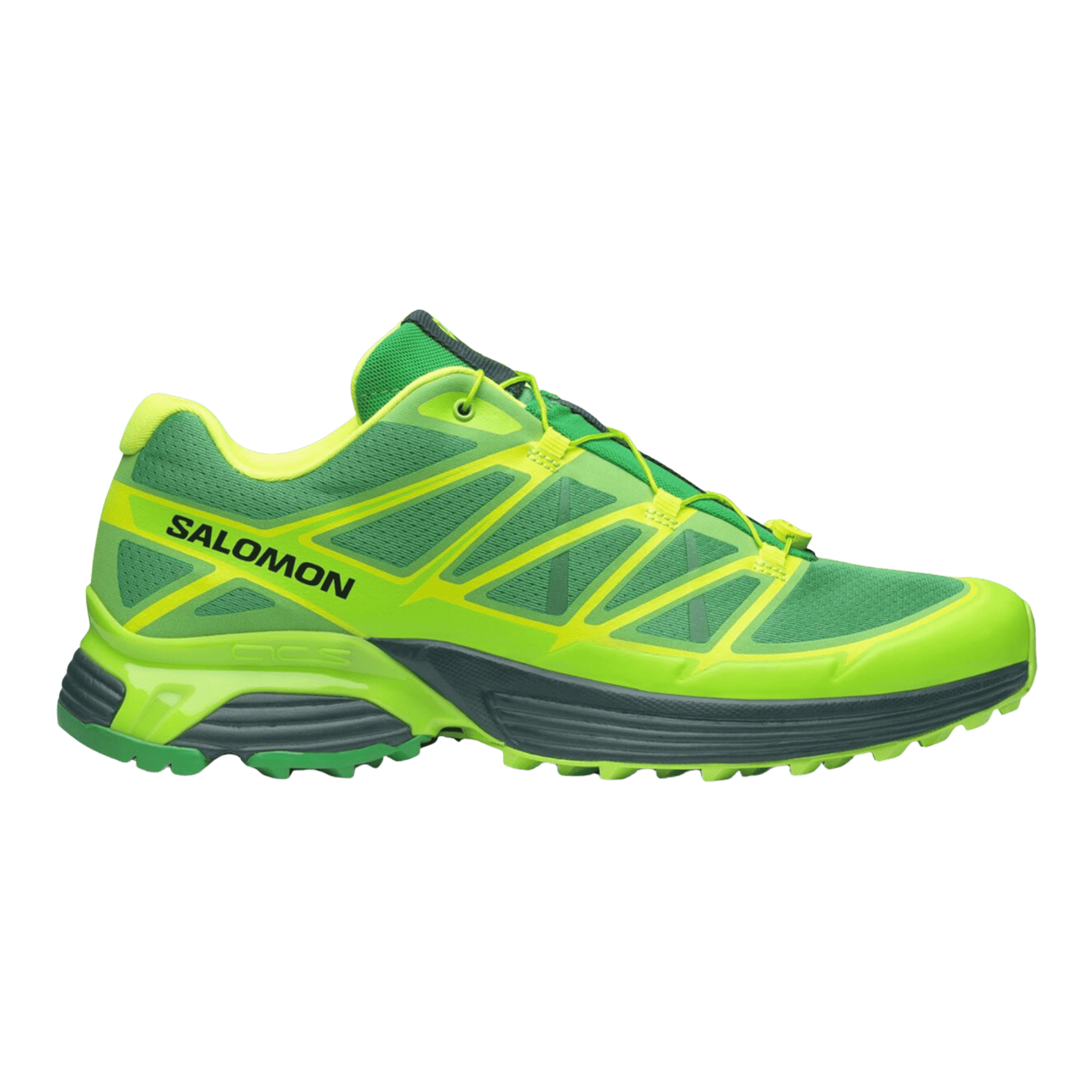 XT-PATHWAY 2 FERXXO