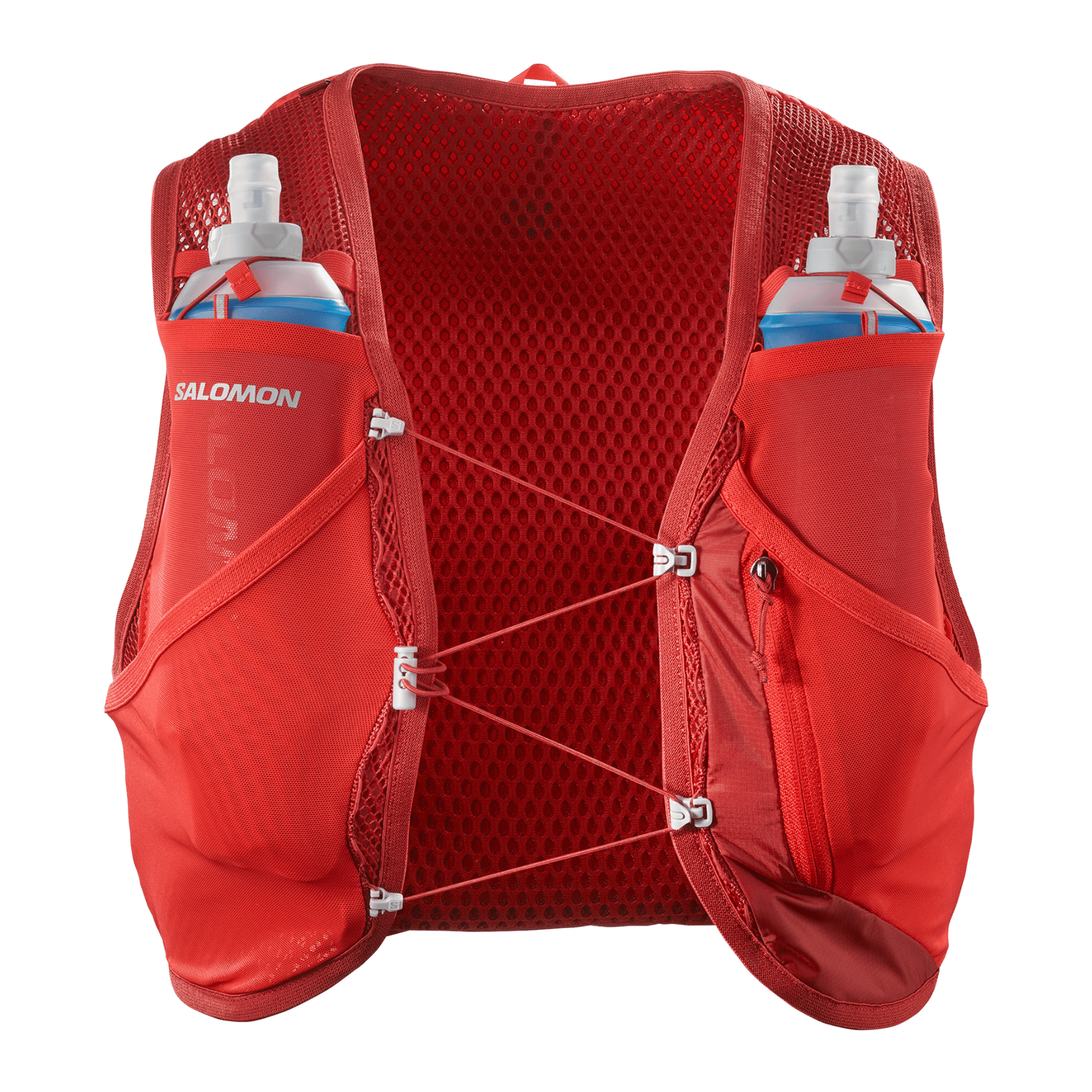 #color_RED DAHIA / HIGH RISK RED