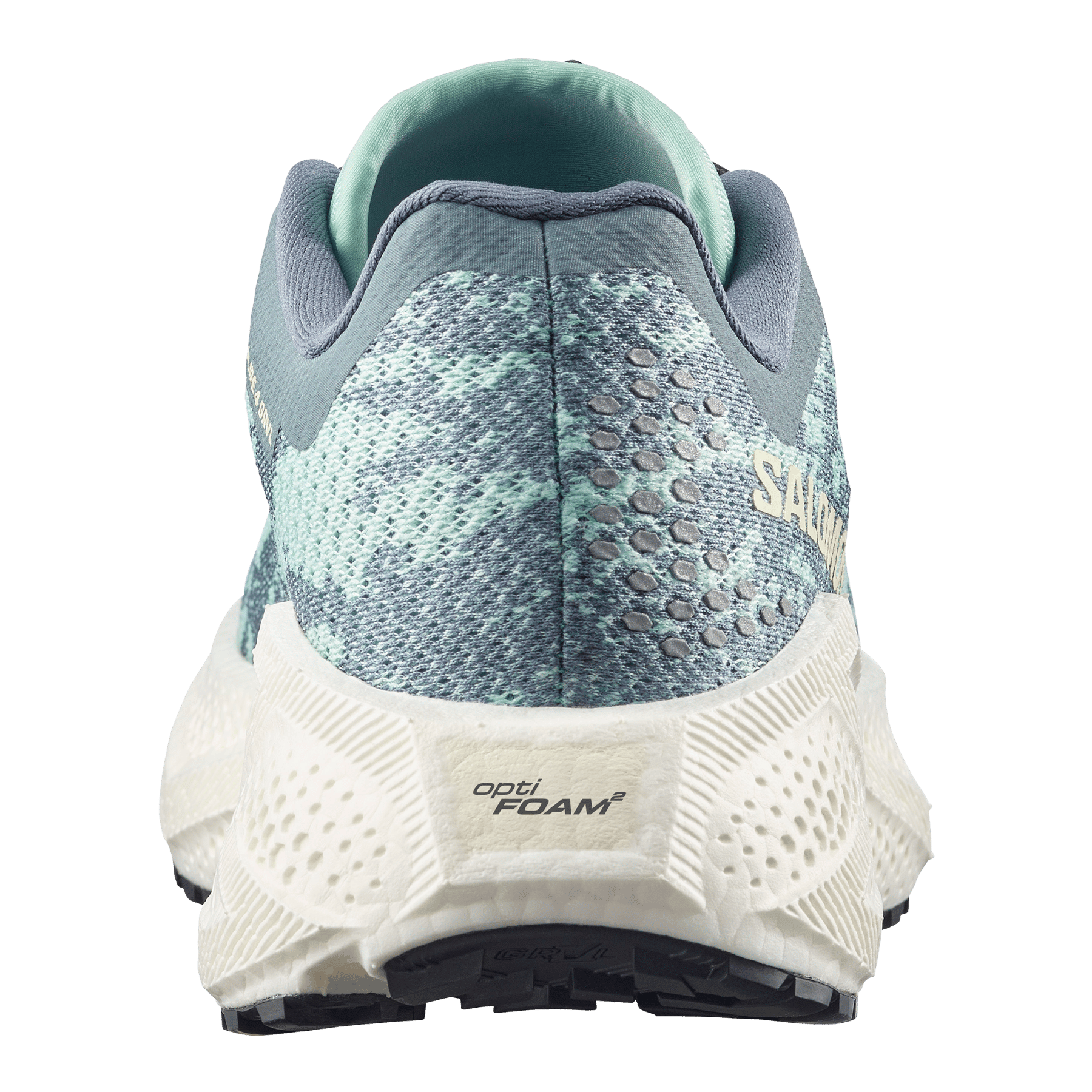 #color_STORMY WEATHER / LICHEN