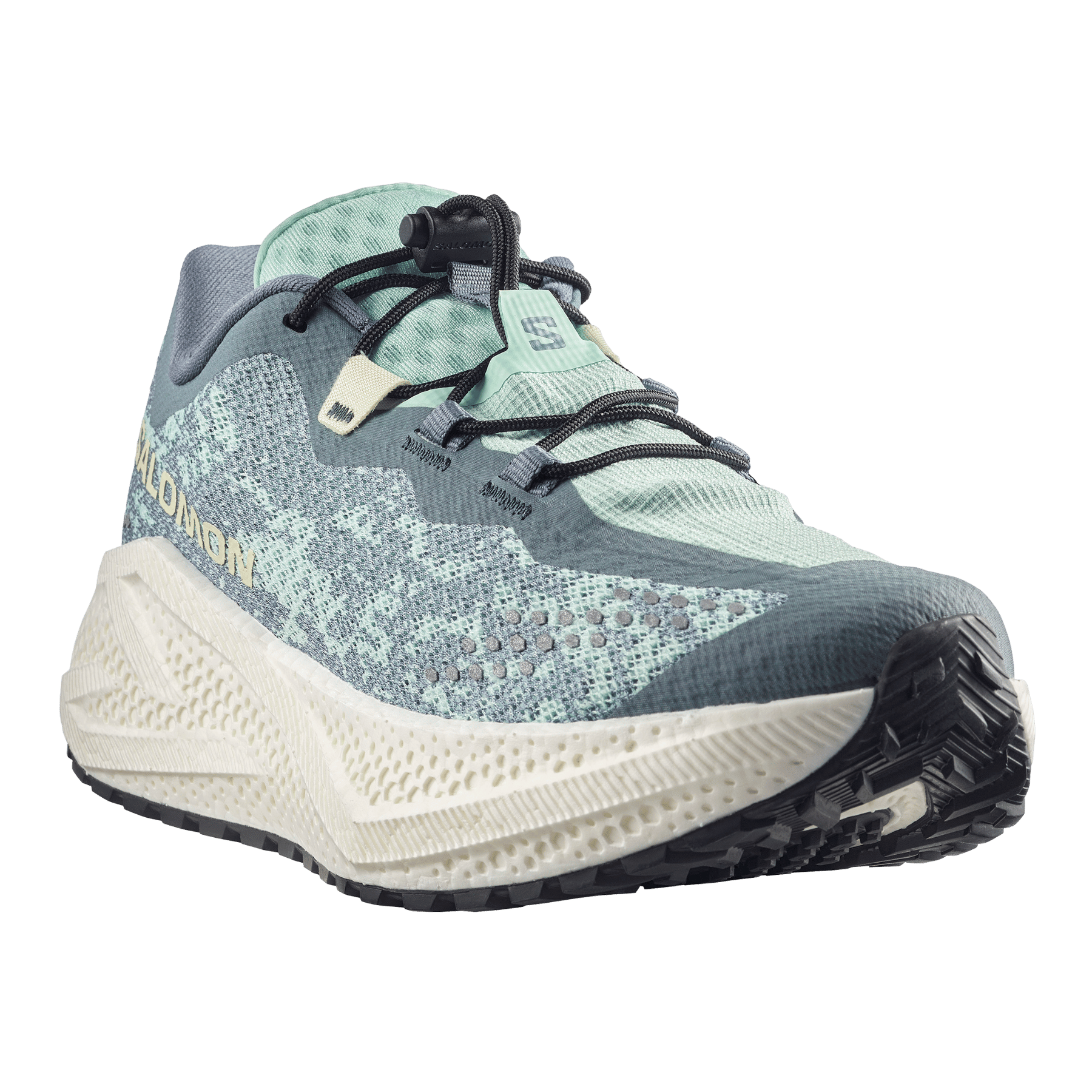 #color_STORMY WEATHER / LICHEN