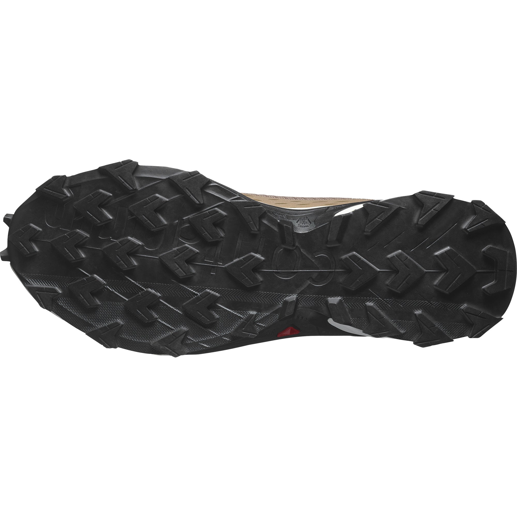 Zapatilla Alphacross 5 br