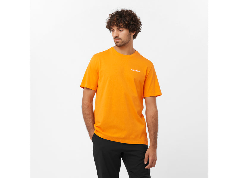 Polera GRAPHIC PERFORMANCE SS TEE or