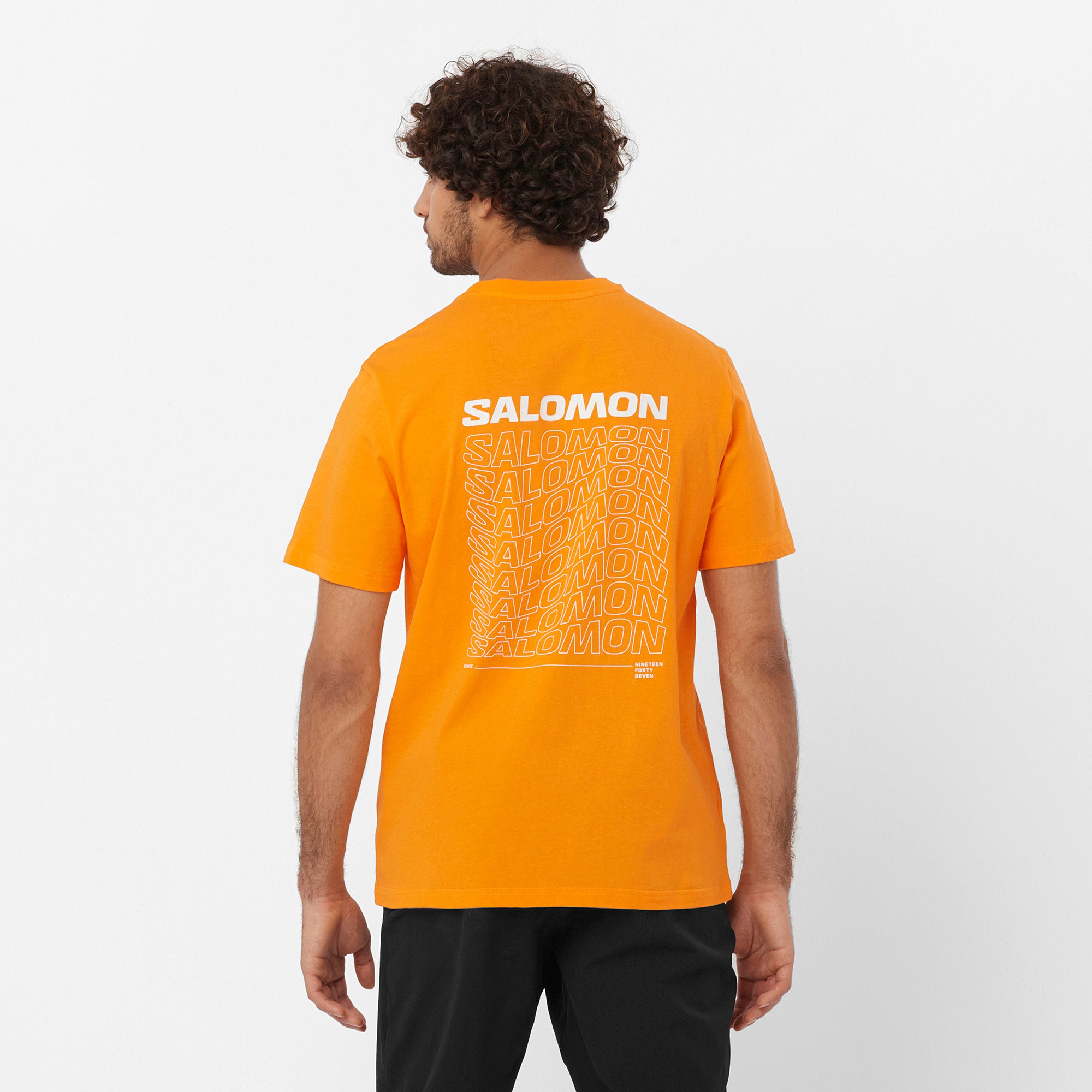 Polera GRAPHIC PERFORMANCE SS TEE or