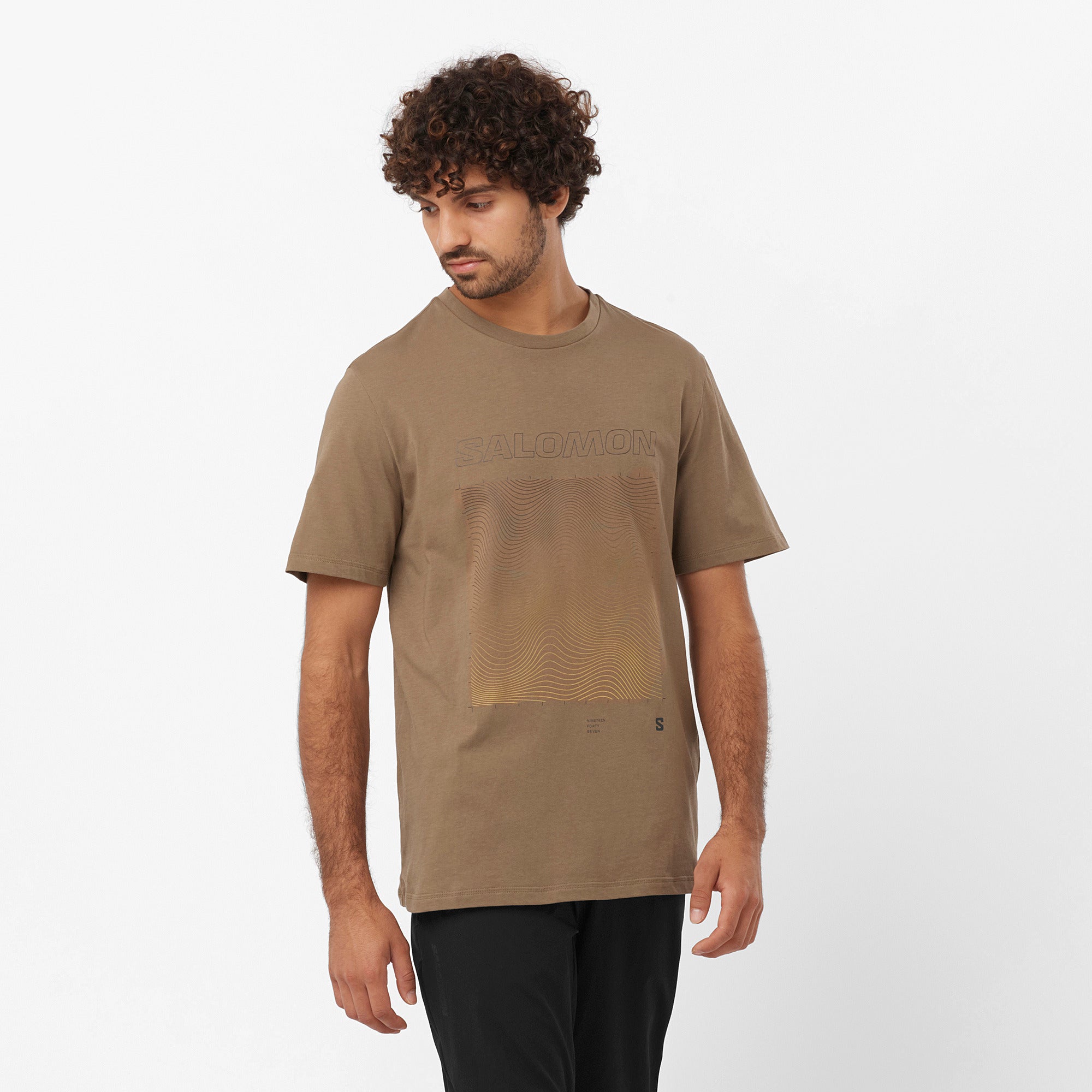 Polera GRAPHIC SS TEE br