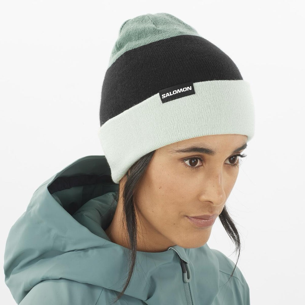 Gorro Flatspin Reversible Beanie wh