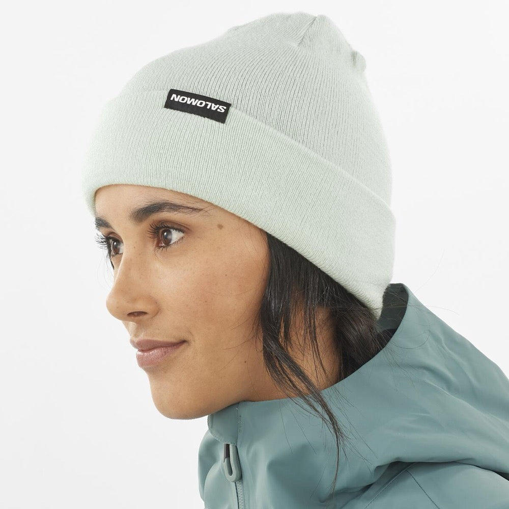 Gorro Flatspin Reversible Beanie wh