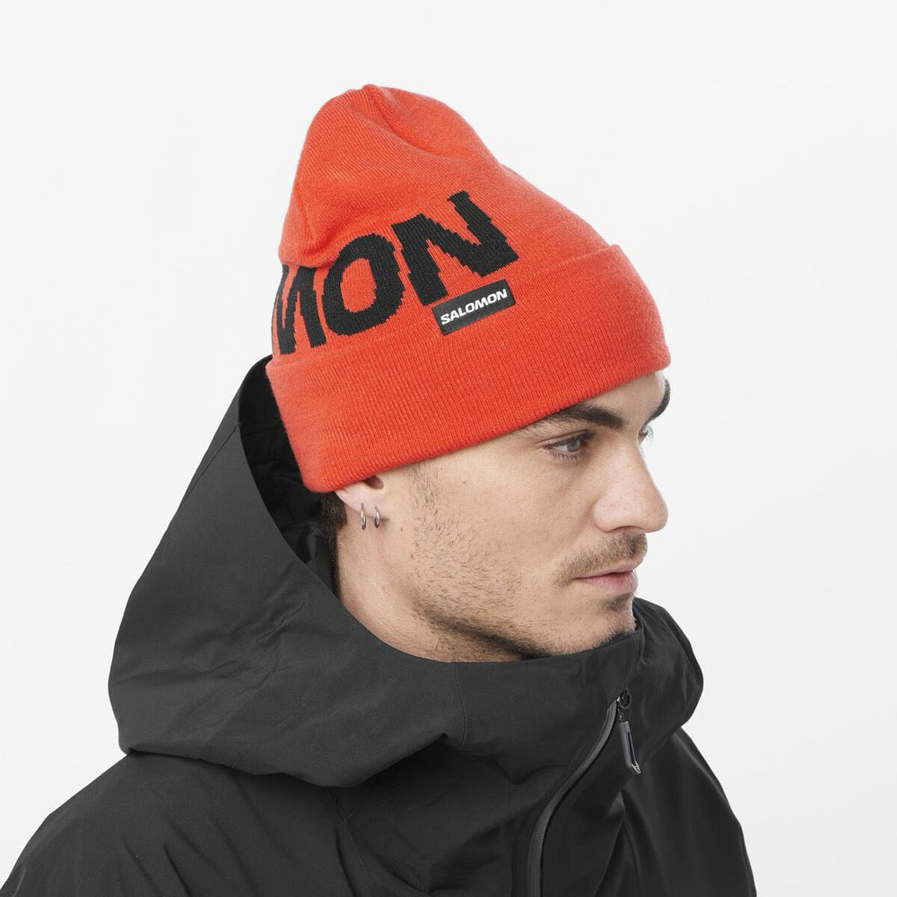 Gorro HERMITAGE BEANIE re