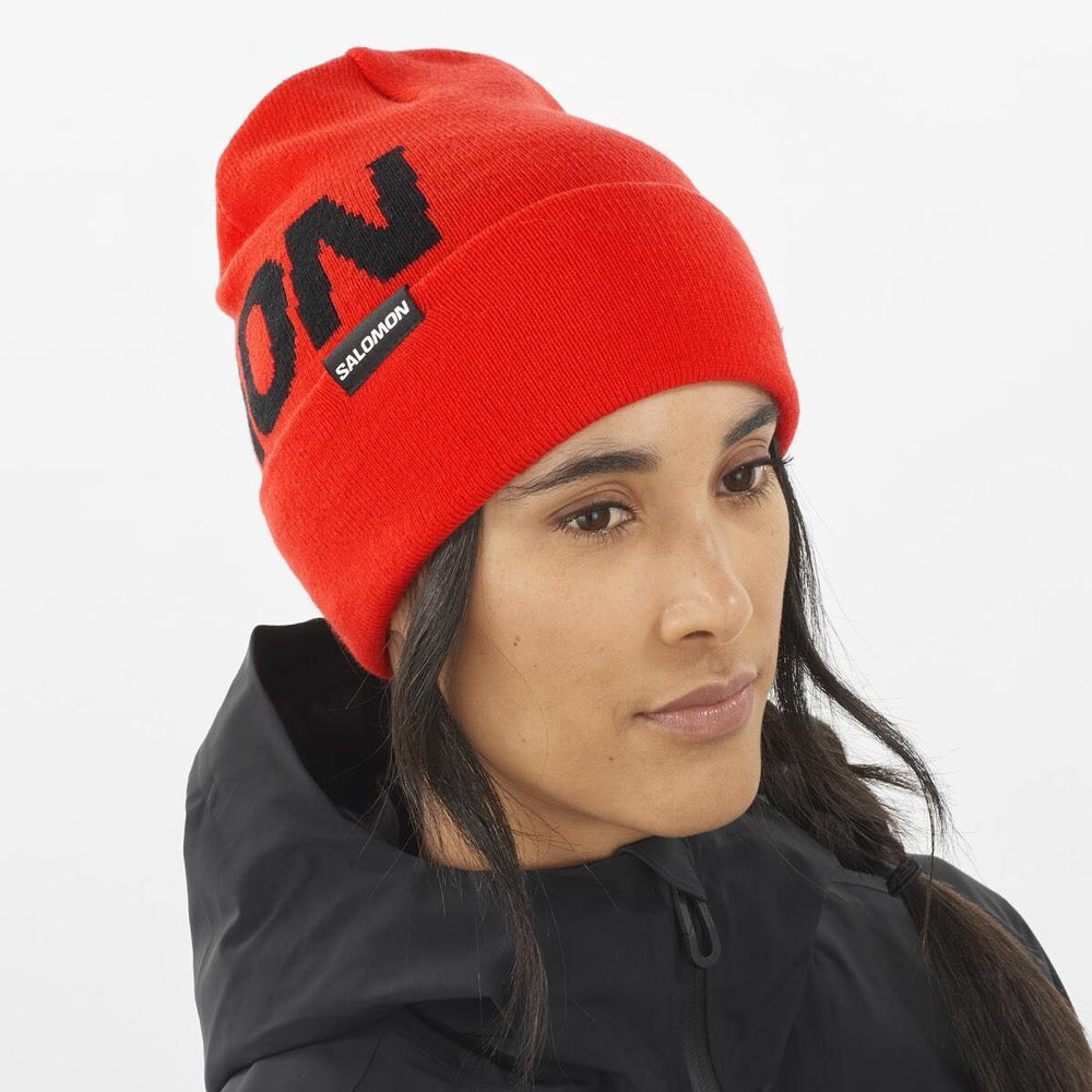 Gorro HERMITAGE BEANIE re