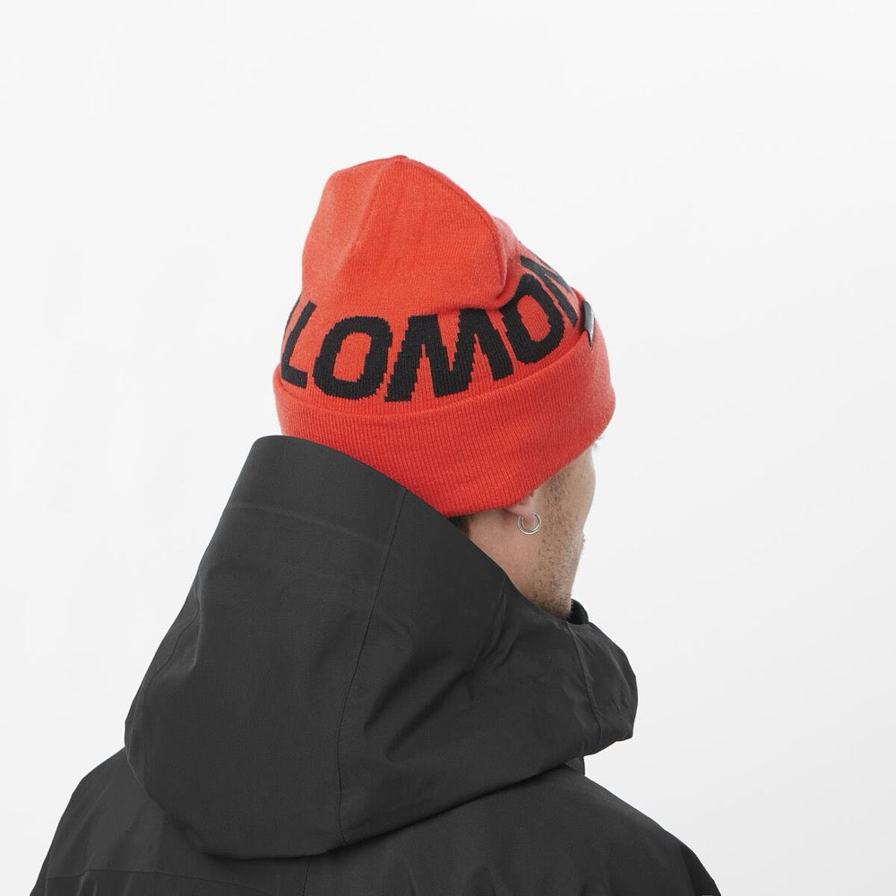Gorro HERMITAGE BEANIE re