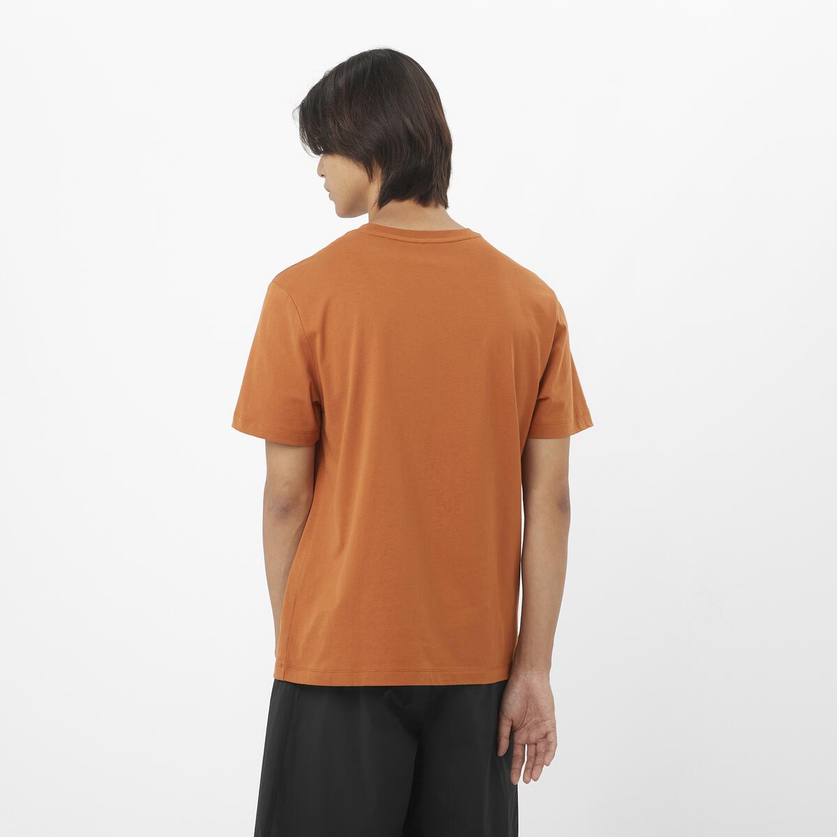 #COLOR_NARANJA