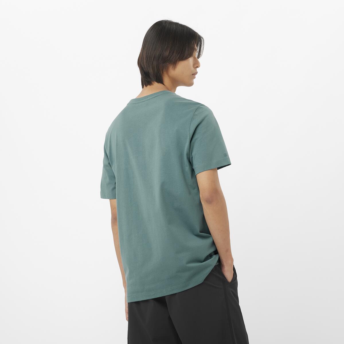 #color_verde