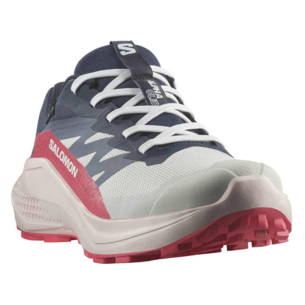 ALPHAGLIDE GTX bl
