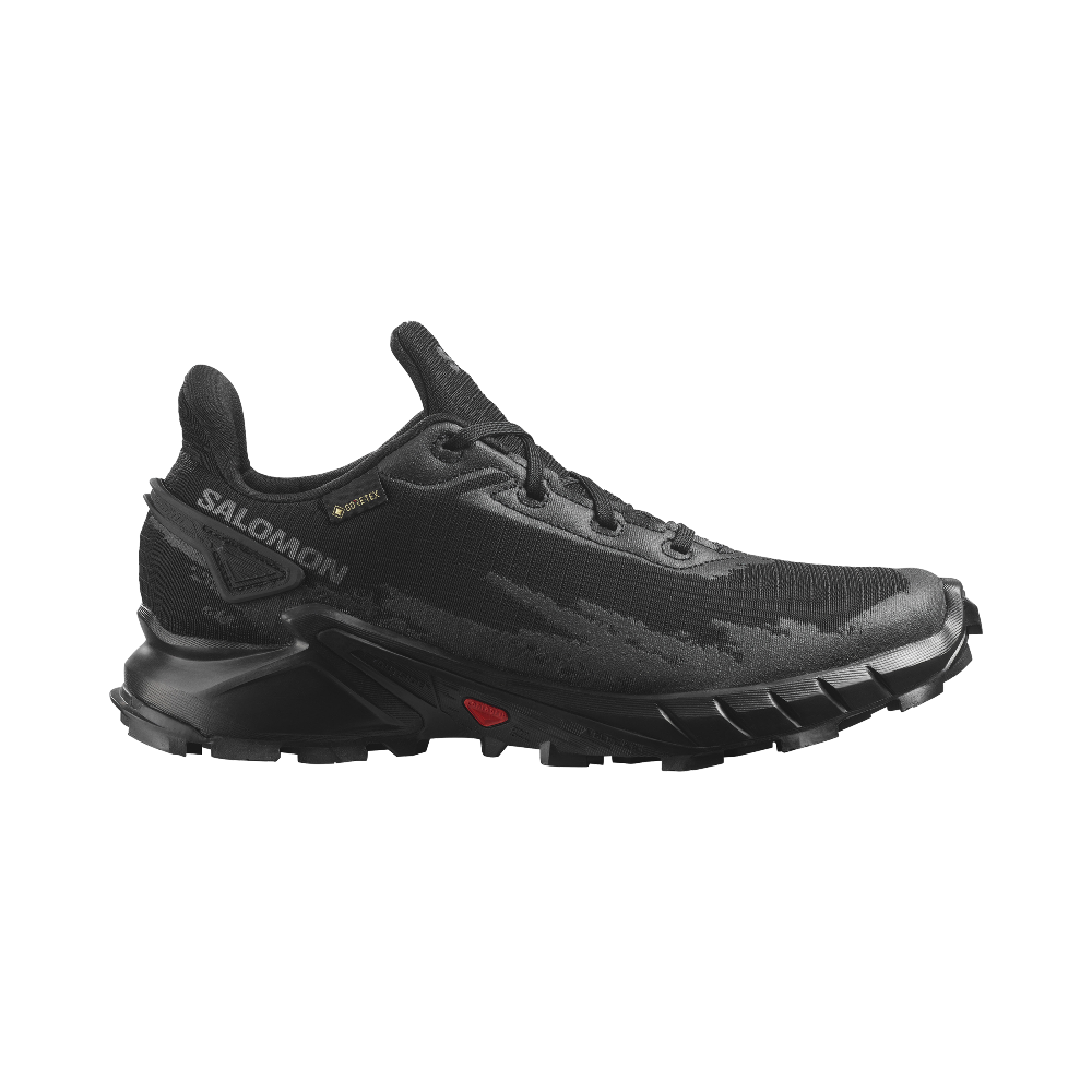 Zapatilla Alphacross 4 GTX bl