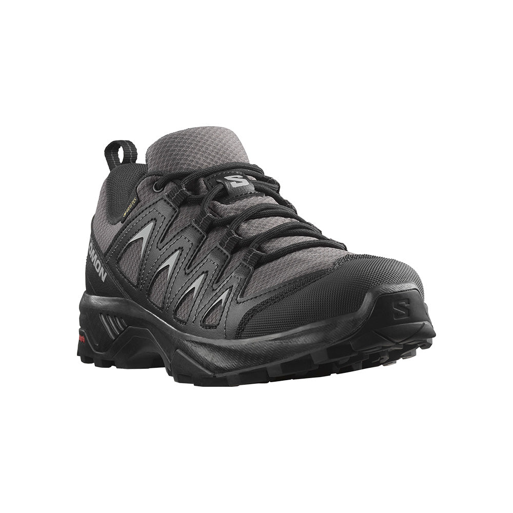 Zapatilla X BRAZE GTX bl